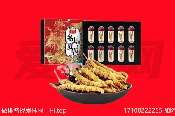 威宁县回收虫草.jpg